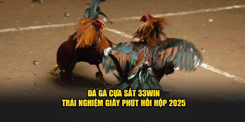 Đá gà cựa sắt 33Win