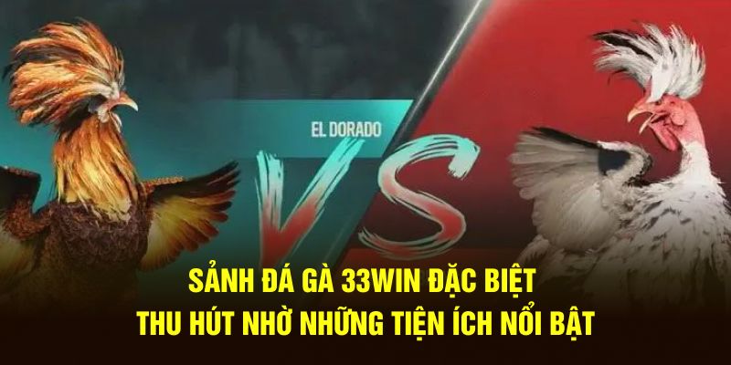 Sảnh Đá gà 33win đặc biệt thu hút nhờ những tiện ích nổi bật